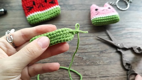 Crochet Catermelon Airpods Pouch: A Fun and Functional Accessory for Your Airpods