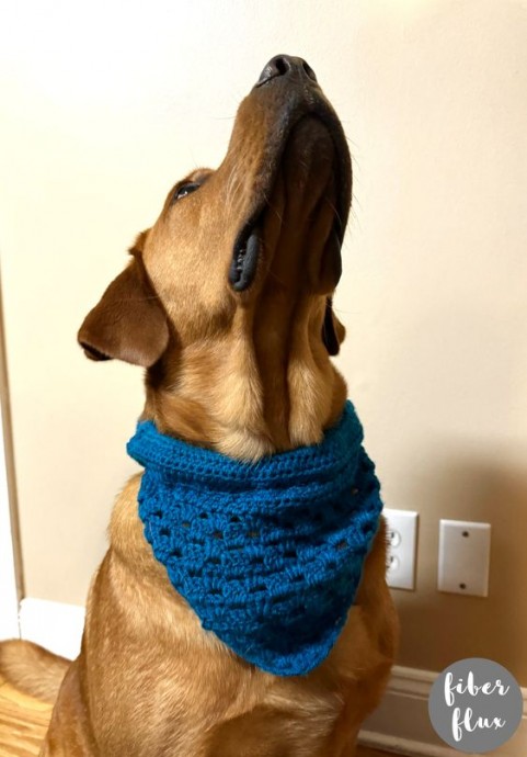 Create A Stylish and Safe Crochet Safety Pet Bandana for Your Furry Friend