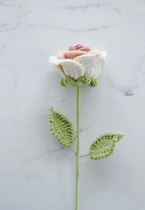 Master the Art of Crochet Thai Rose: Essential Materials and Techniques for Stunning Designs Master the Art of Crochet Thai Rose: Essential Materials and Techniques for Stunning Designs