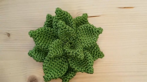 Create Your Own Adorable Crochet Succulent Plants for Home Decor