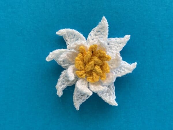 Crochet Water Lily