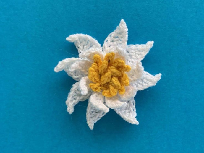 Crochet Water Lily