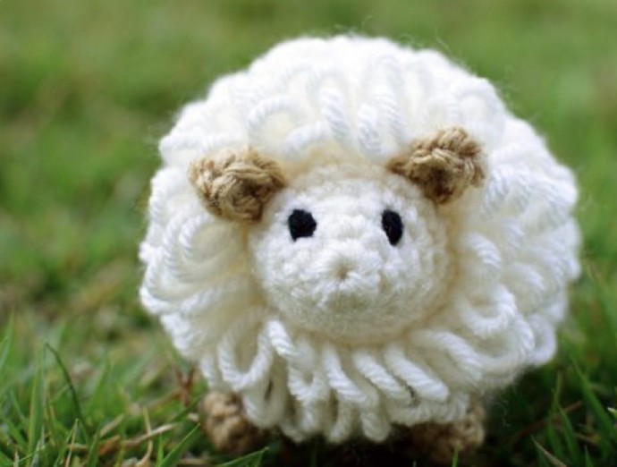 Little Fluffy Sheep
