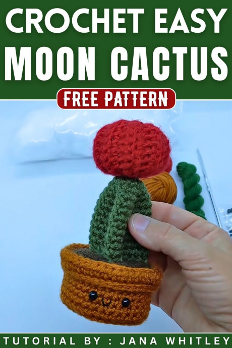 Crochet Cuddly Moon Cactus For Desk Topper