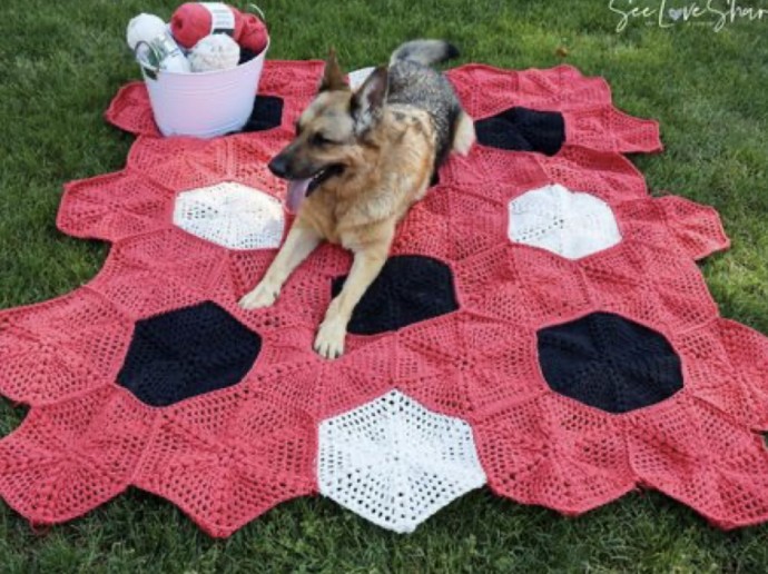 Crochet Happy Hex Picnic Blanket - A Perfect Outdoor Companion Crochet Happy Hex Picnic Blanket - A Perfect Outdoor Companion