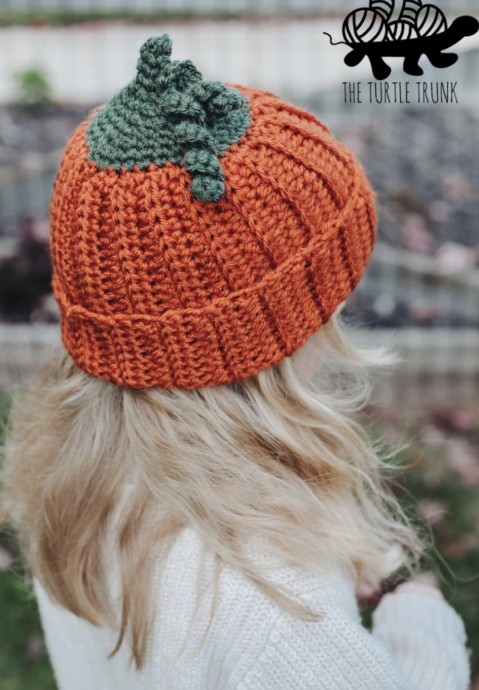 Crochet Pumpkin Beanie