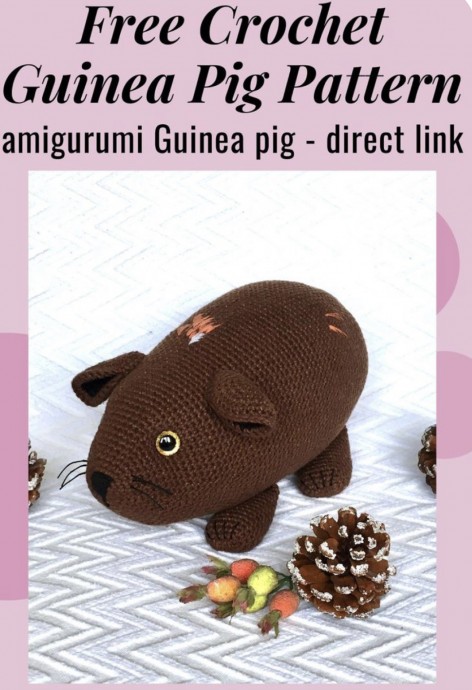 Adorable Guinea Pig