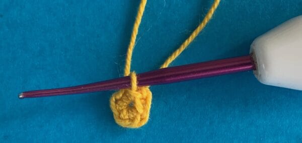 Crochet Water Lily