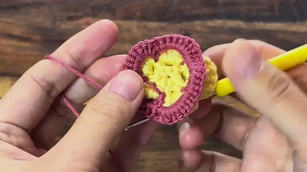 Crochet Frangipani Flower Granny Square