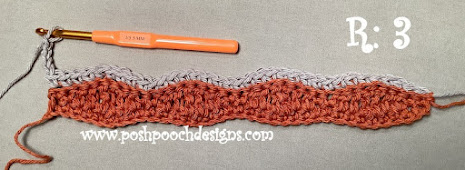 Crochet Waves Dish Towel With Topper
