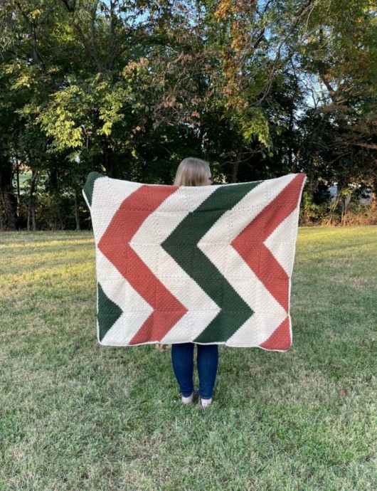 Create Your Own Cozy Gander Throw: A Step-by-Step Guide to Crochet a Beautiful Blanket Create Your Own Cozy Gander Throw: A Step-by-Step Guide to Crochet a Beautiful Blanket