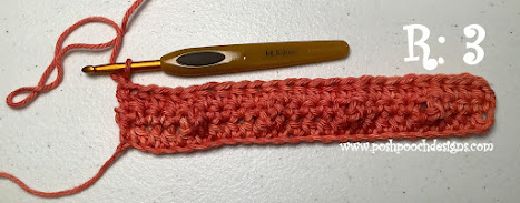 Crochet Fruit Stripe Pot Holder
