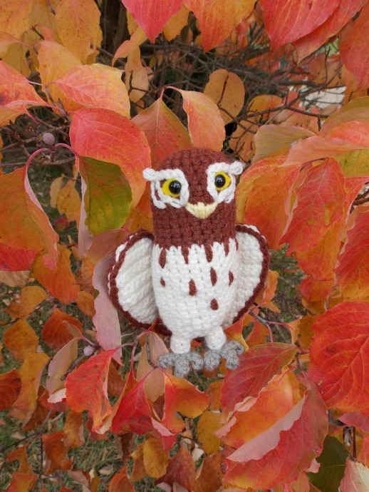 Create Your Own Adorable Crochet Gylfie the Elf Owl: A Step-by-Step Amigurumi Pattern Create Your Own Adorable Crochet Gylfie the Elf Owl: A Step-by-Step Amigurumi Pattern