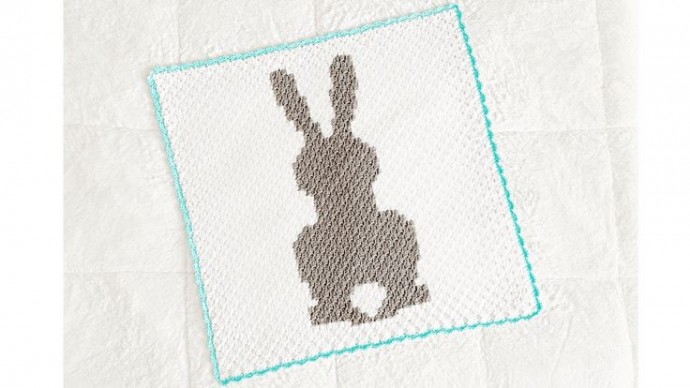 Adorable Baby Bunny Blanket