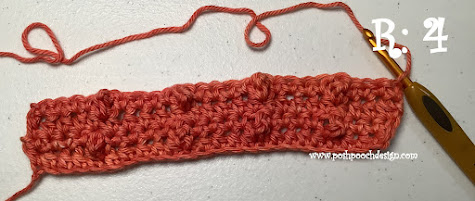 Crochet Fruit Stripe Pot Holder