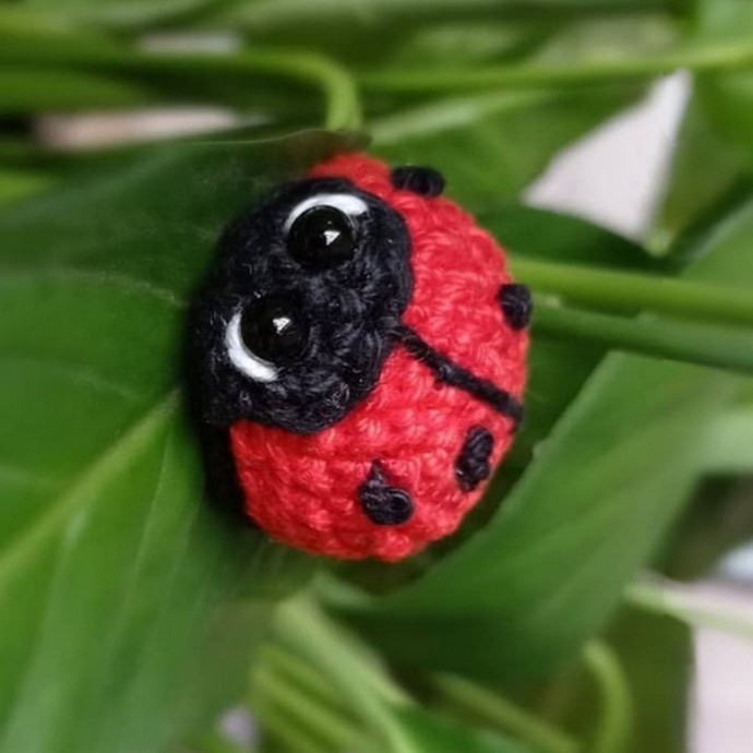 Create Your Own Adorable Crochet Ladybug Amigurumi: Fun and Easy Pattern Create Your Own Adorable Crochet Ladybug Amigurumi: Fun and Easy Pattern