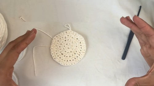 How to Crochet a Beautiful Placemat - A Step-by-Step Guide for All Skill Levels