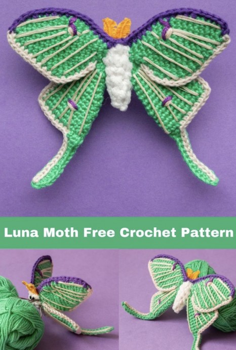 Luna Moth Crochet Pattern
