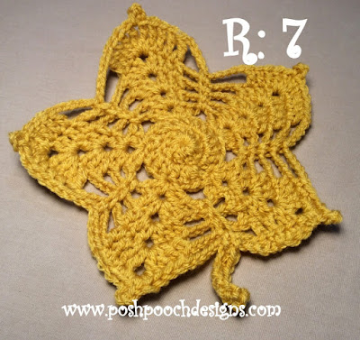Create Your Own Crochet Maple Leaf Washcloth or Doily - A Charming DIY Project