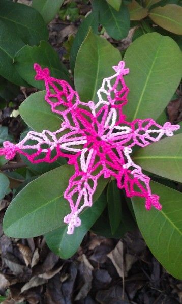 Crochet Salmon Glacier Snowflake