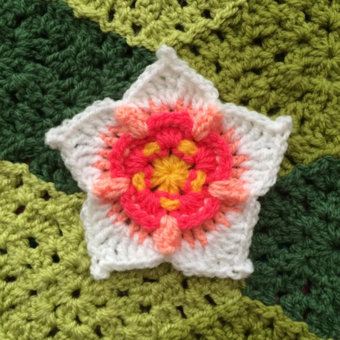 Create Adorable Crochet Flowers: A Step-by-Step Guide for All Skill Levels Create Adorable Crochet Flowers: A Step-by-Step Guide for All Skill Levels