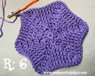 Crochet Hexie Pot Holder and Washcloth: Your Handmade Kitchen Essentials