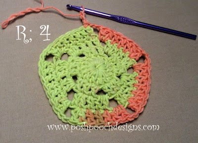Crochet Pinwheel Washcloth