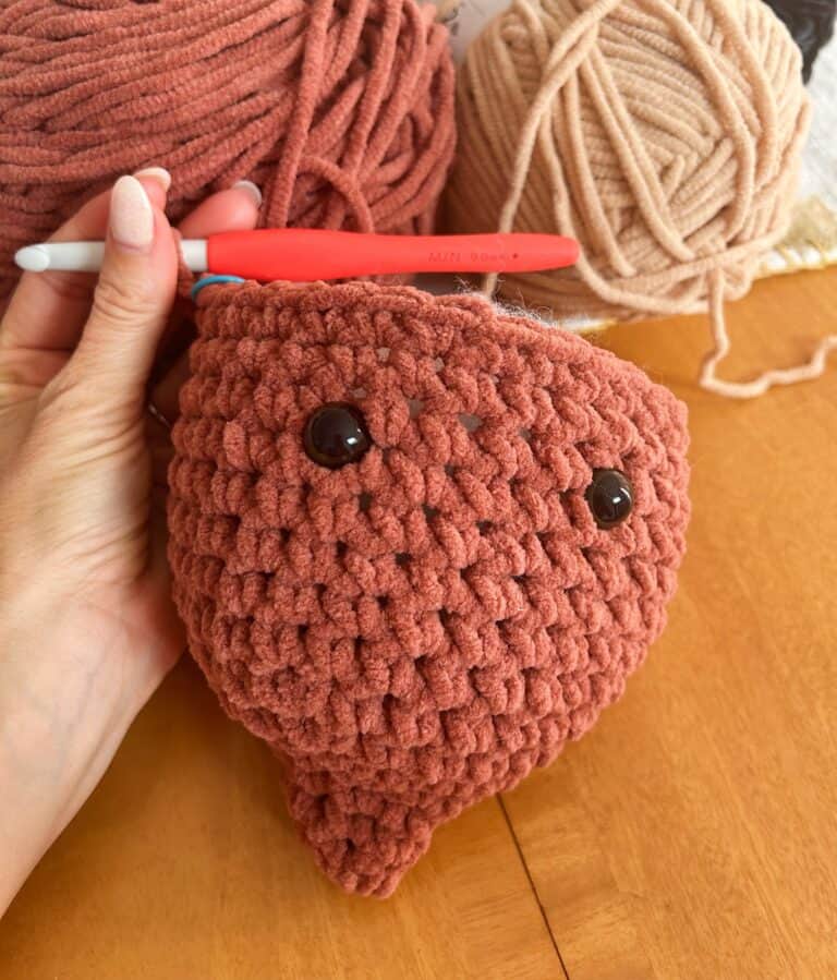 Crochet Autumn Acorn Plushie