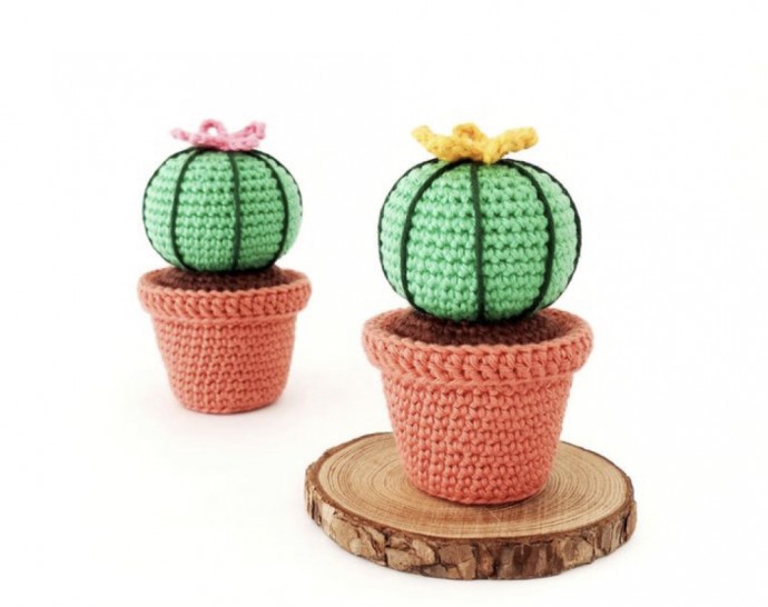 Crochet a Cute Cactus
