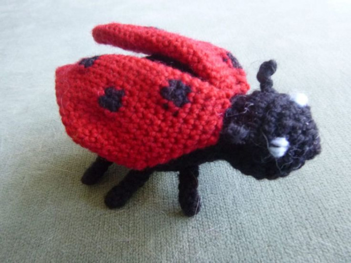 Crochet Lydia the Ladybird: An Adorable Amigurumi Project for Beginners and Experts Crochet Lydia the Ladybird: An Adorable Amigurumi Project for Beginners and Experts