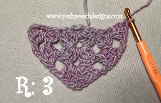 Create Your Own Elegant Crochet Briar Rose Shawl: A Step-by-Step Guide