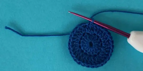 Crochet Beautiful Starfish