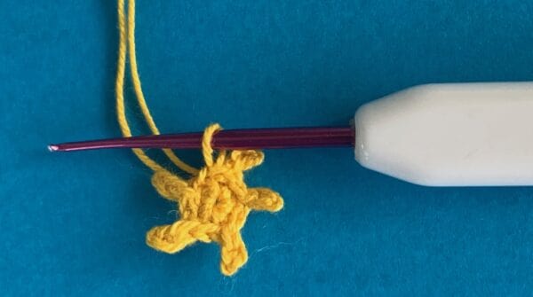 Crochet Water Lily