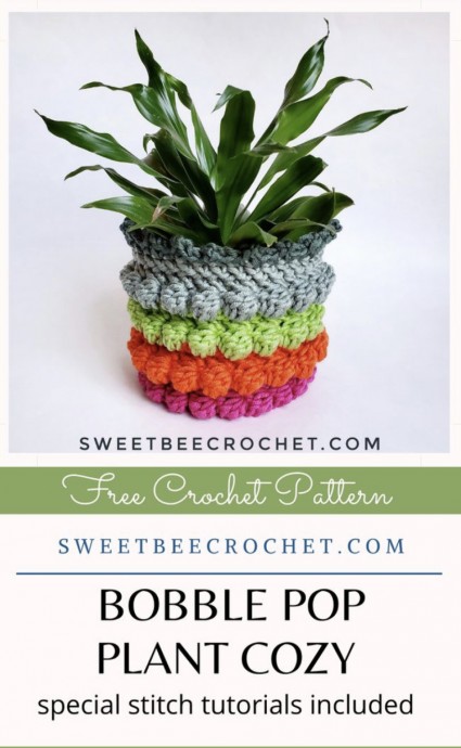 Bobble Pop Plant Cozy – Free Crochet Pattern
