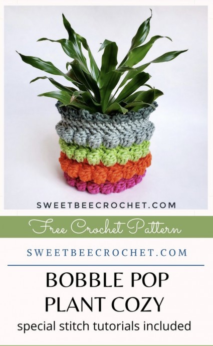 Discover the Bobble Pop Plant Cozy: A Creative Crochet Project for Indoor Plants Discover the Bobble Pop Plant Cozy: A Creative Crochet Project for Indoor Plants
