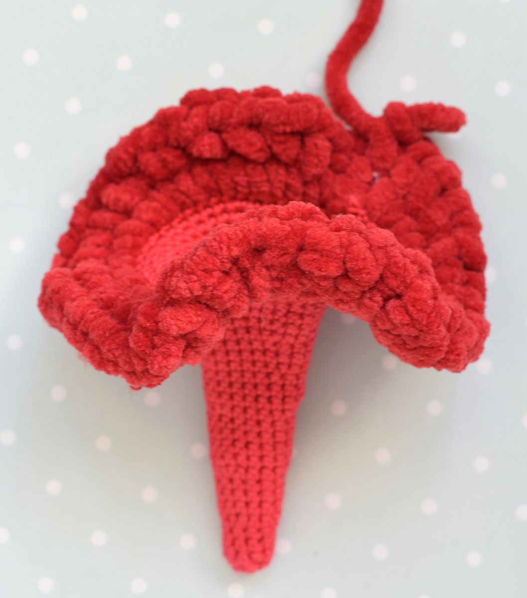 Create a Stunning Crochet Flower of Celosia Brooch &ndash; A Step-by-Step Guide