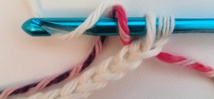 Crochet Cell Phone Pouch