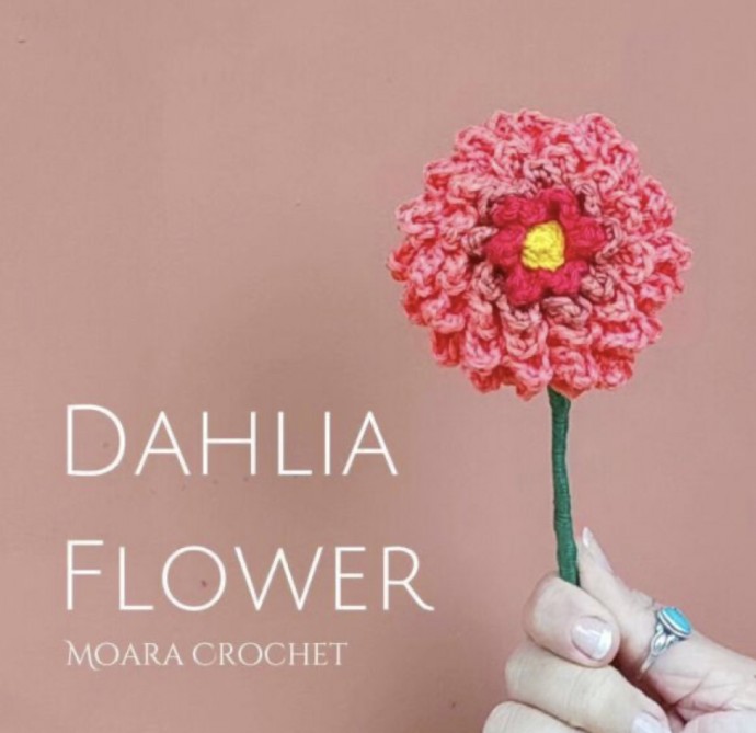Free Crochet Dahlia Flower Pattern