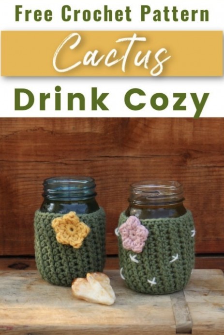 Cactus Crochet Can Cozy