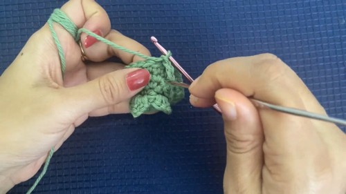 How to Create Beautiful Crochet Succulent Plants for Home Decor