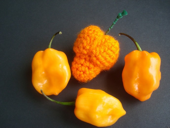 Crochet Adorable Habanero