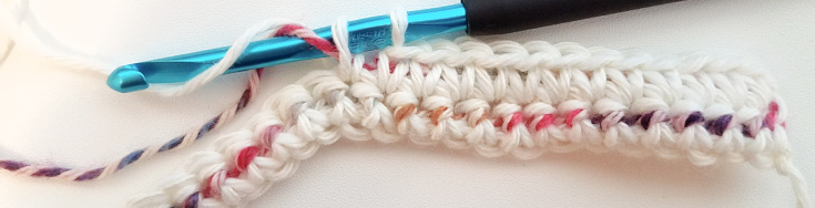Crochet Cell Phone Pouch