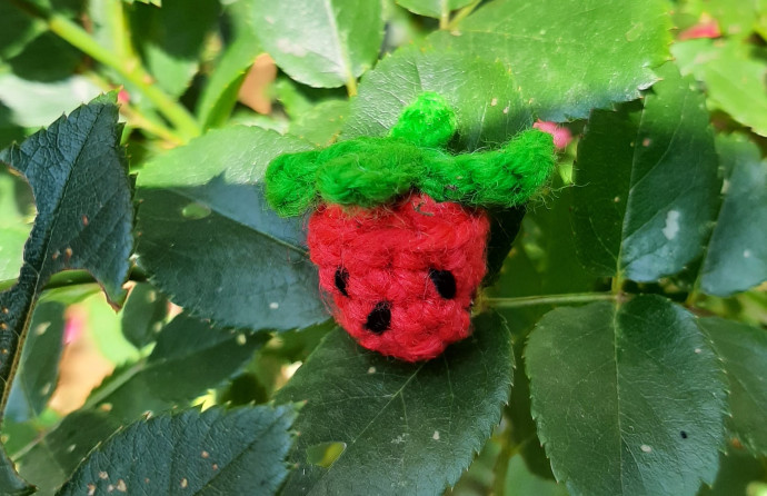 Create Your Own Adorable Crochet Amigurumi Tiny Strawberry – Fun Craft Project Create Your Own Adorable Crochet Amigurumi Tiny Strawberry – Fun Craft Project