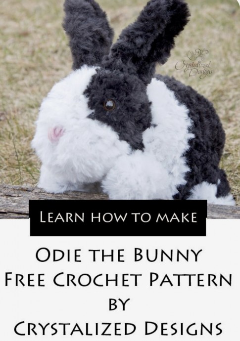 Crochet Odie the Bunny
