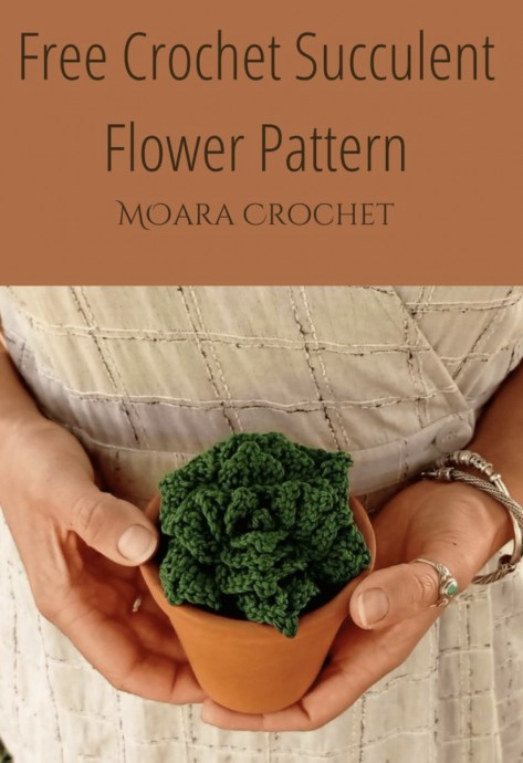 Easy Guide to Crocheting a Beautiful Succulent Flower for Home or Office Decor Easy Guide to Crocheting a Beautiful Succulent Flower for Home or Office Decor
