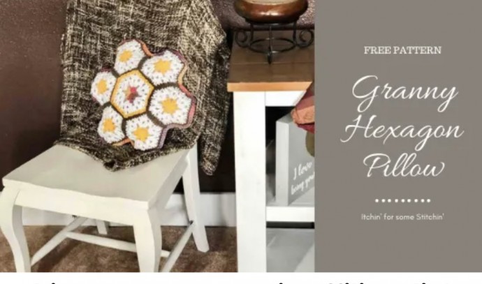 Free Crochet Pattern: Easy Granny Hexagon Pillow