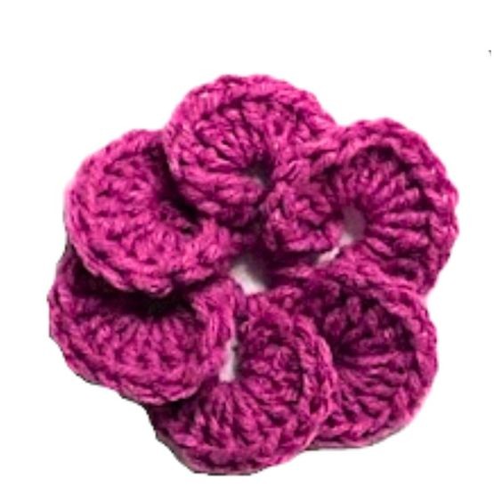 Create Beautiful Crocheted Flowers: A Complete Guide for Beginners and Experts Create Beautiful Crocheted Flowers: A Complete Guide for Beginners and Experts