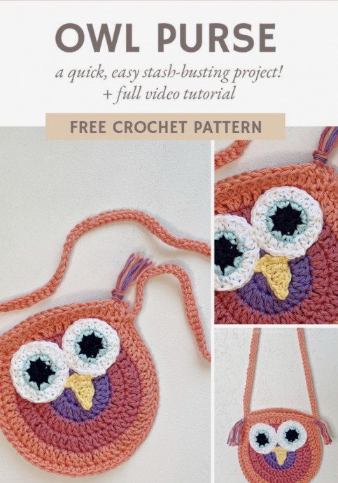 Colorful Owl Purse