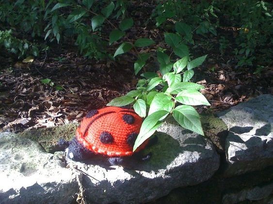 Create Your Own Adorable Amigurumi Crochet June The Lady Bug - A Fun and Whimsical Project for All Skill Levels Create Your Own Adorable Amigurumi Crochet June The Lady Bug - A Fun and Whimsical Project for All Skill Levels