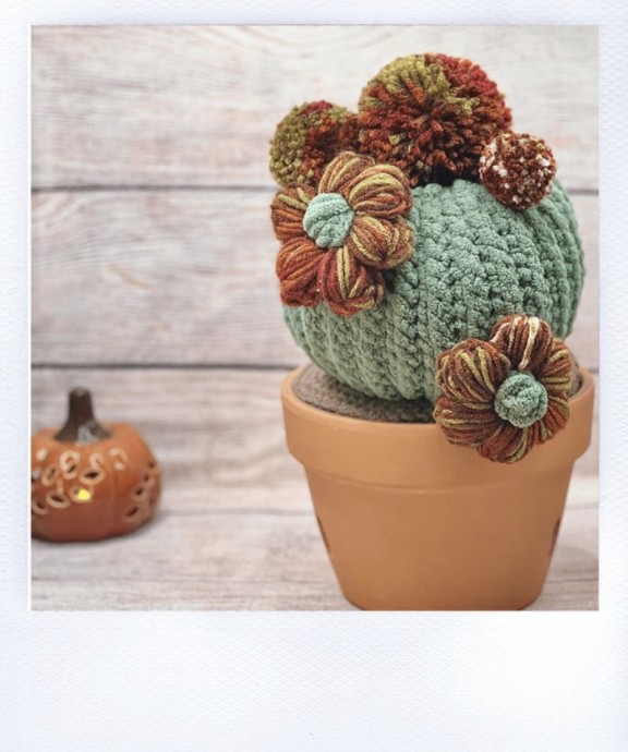 How to Create a Beautiful Crochet Cactus for Your Home Decor How to Create a Beautiful Crochet Cactus for Your Home Decor